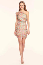 Load image into Gallery viewer, Amanda Uprichard Annora Dress with Florista print