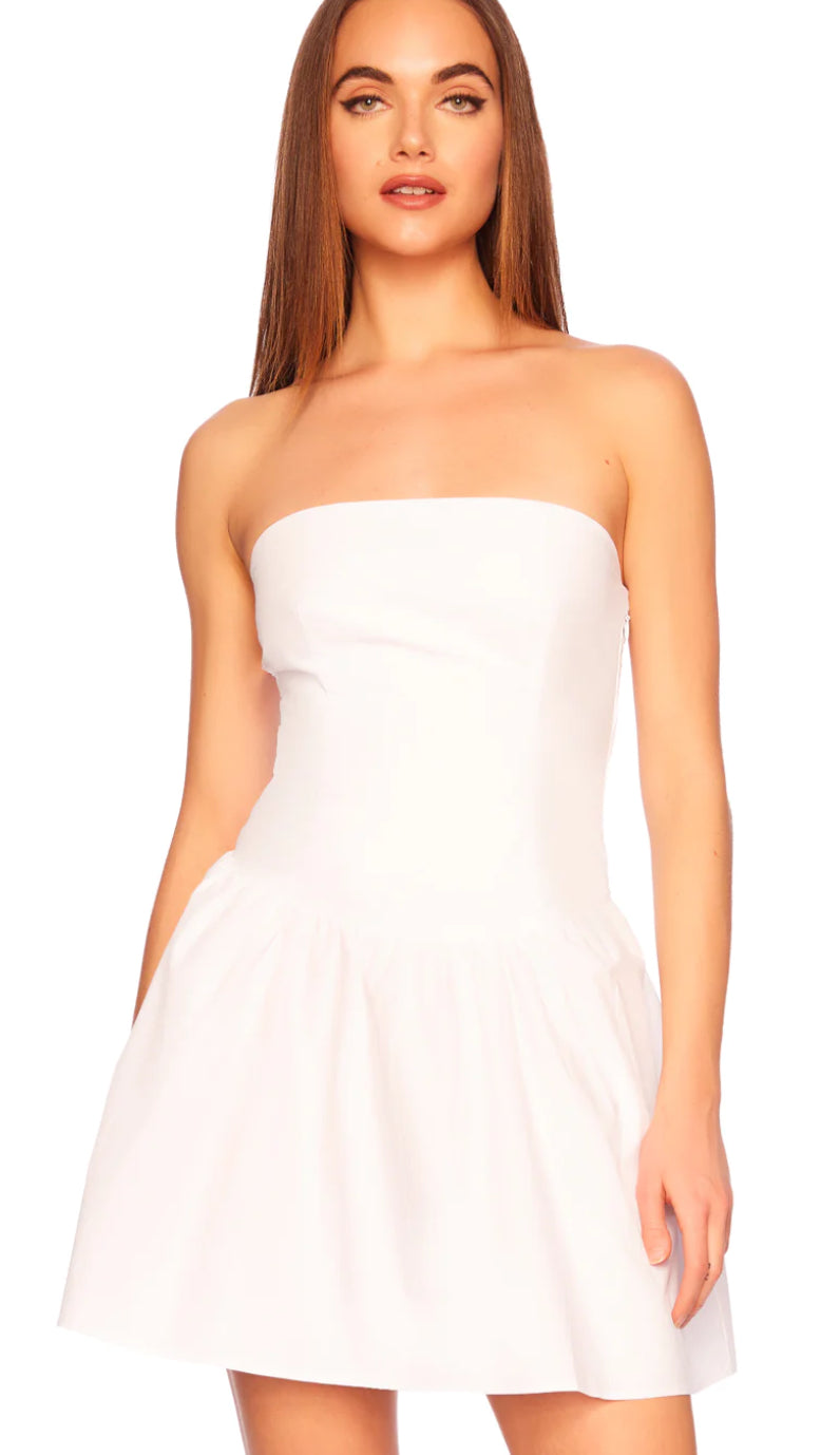 green emerald velvet dress Susana Monaco Poplin Tube Flared Dress in Sugan White