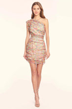 Load image into Gallery viewer, Amanda Uprichard Annora Dress with Florista print
